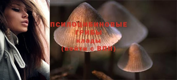 гашик Алзамай