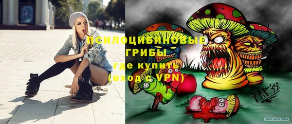 гашик Алзамай
