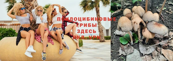 гашик Алзамай