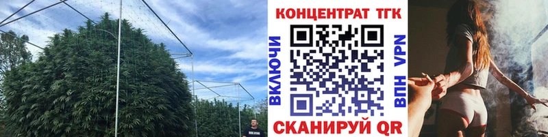 мега tor  Выкса  ТГК вейп 
