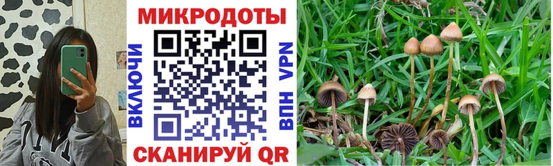 Псилоцибиновые грибы Cubensis  Выкса 