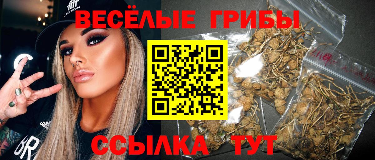 Выкса  Псилоцибиновые грибы Psilocybe  Вход с VPN  Псилоцибиновые грибы Psilocybe 